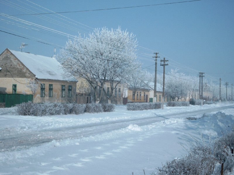 winter02-01