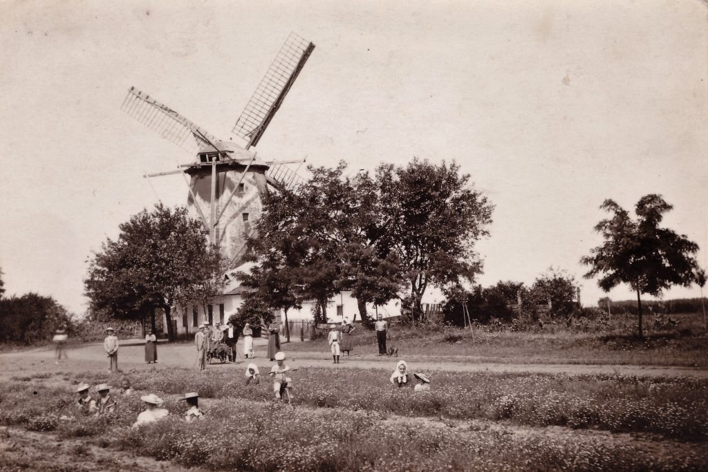 Die Windmühle in Lenauheim (aus dem Archiv HOG Lenauheim)
